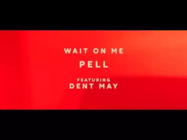 Video: Pell - Wait On Me (feat. Dent May)